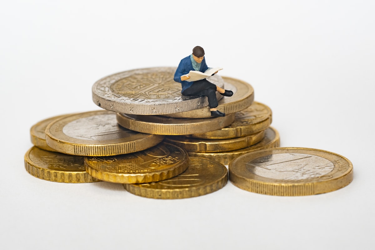 Dividend investment finance