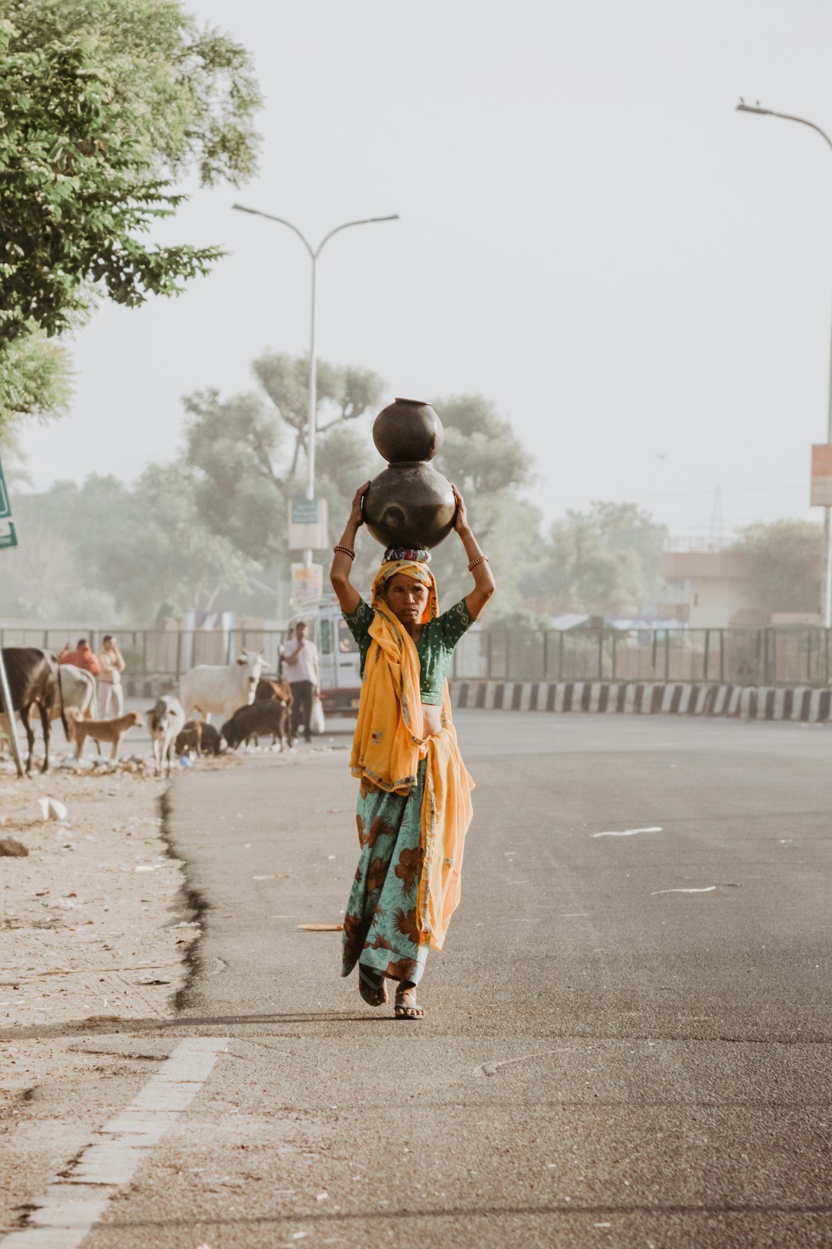 India Birth Rate