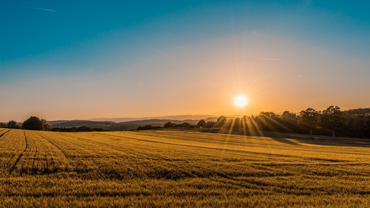 India monsoon agriculture economy 2026
