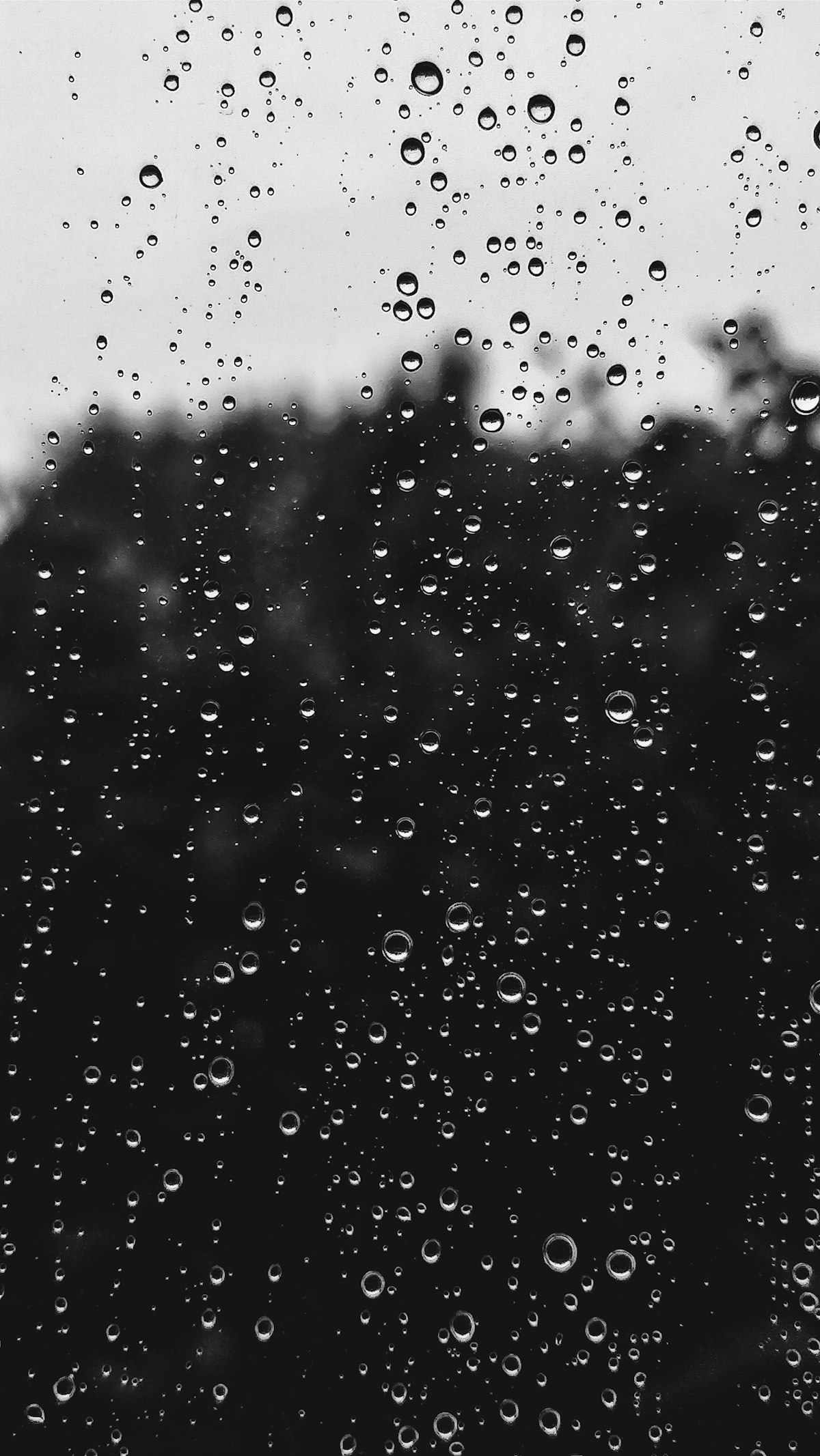 Monsoon Rain India