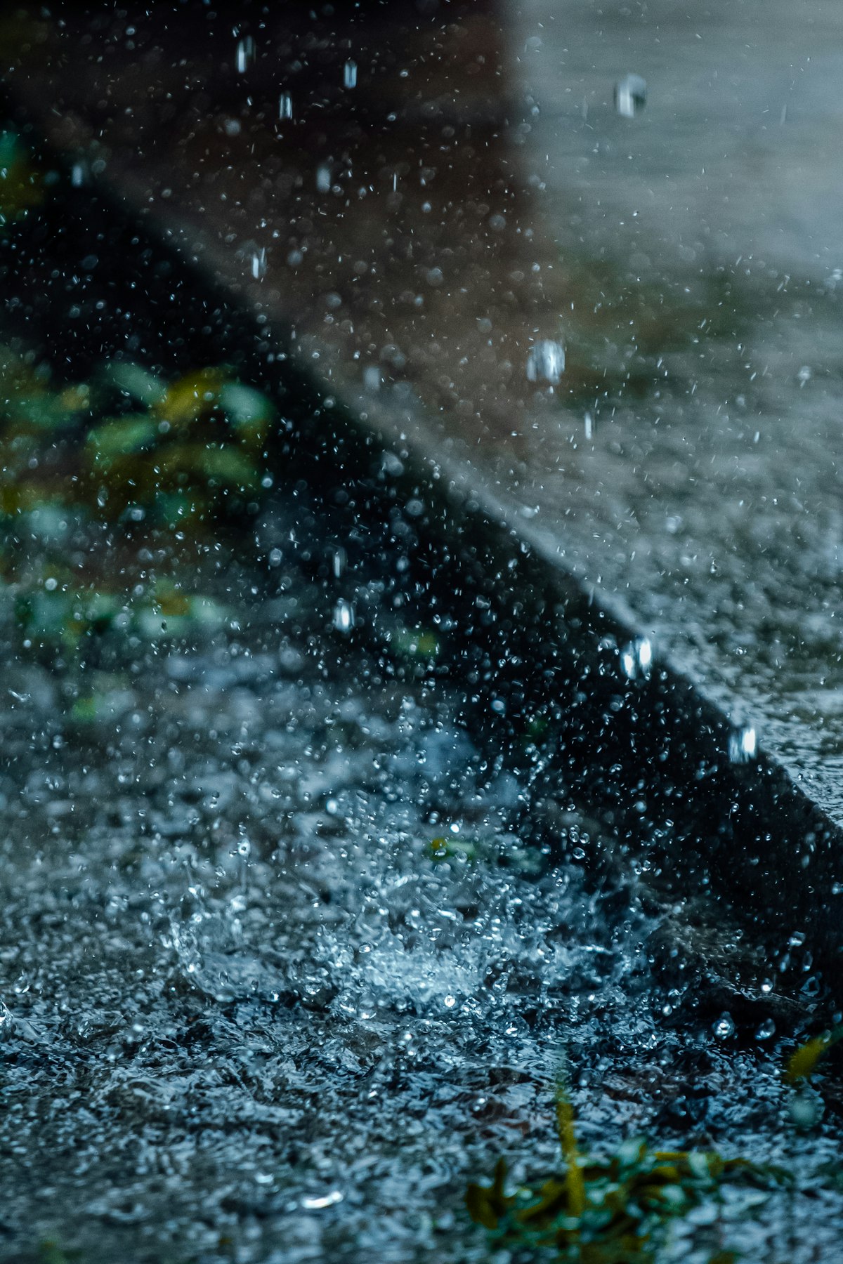 Monsoon Rain India